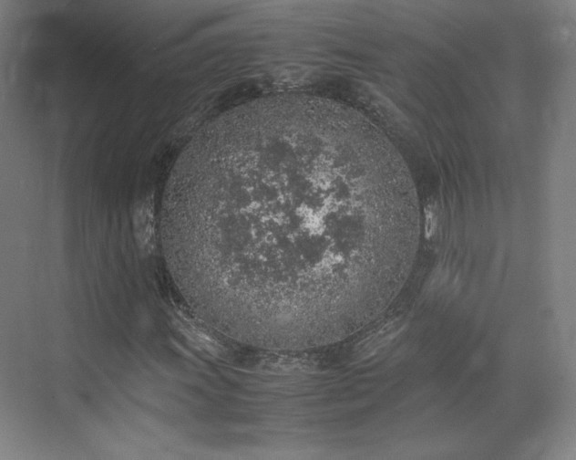 X0000074971011200609011210