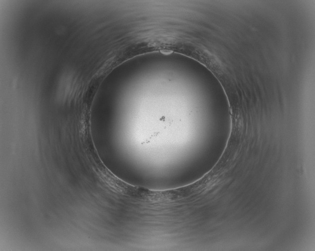 X0000074971012200609011210