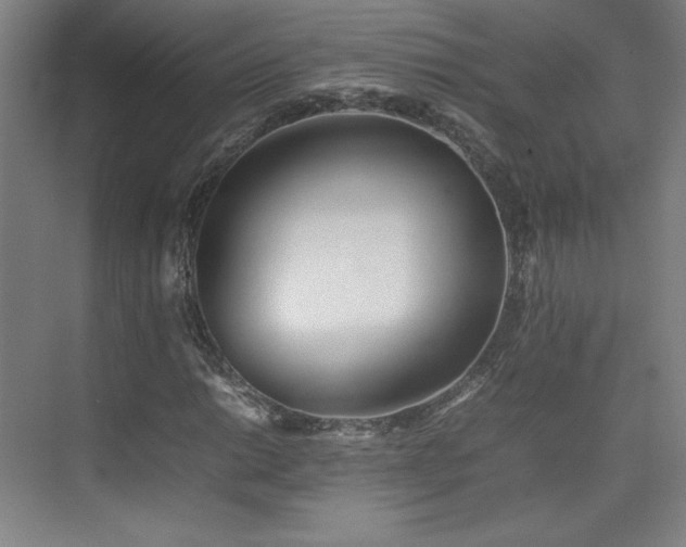 X0000074971014200609011210