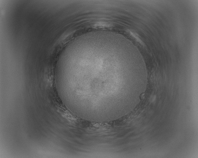 X0000074971015200609011210