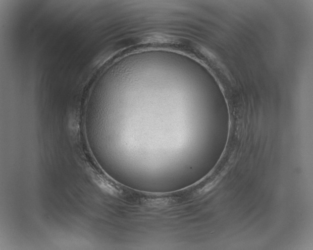 X0000074971017200609011210