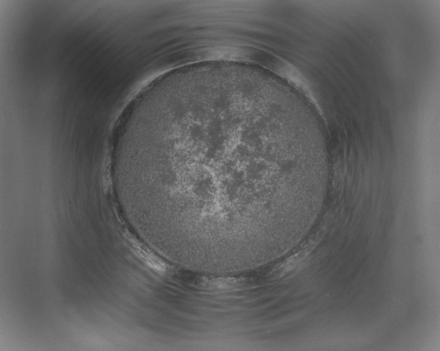 X0000074971019200609011210