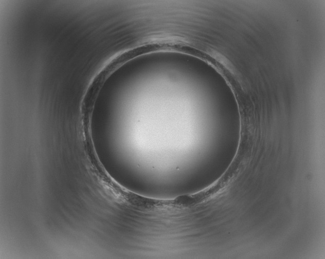 X0000074971022200609011210