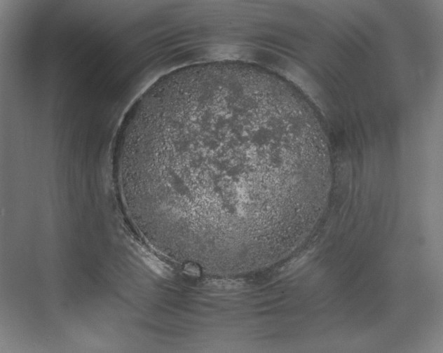 X0000074971023200609011210