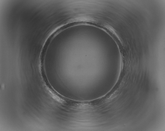 X0000074971024200609011210