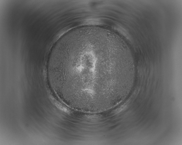 X0000074971025200609011210