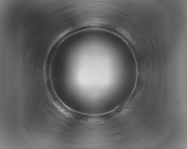 X0000074971026200609011210