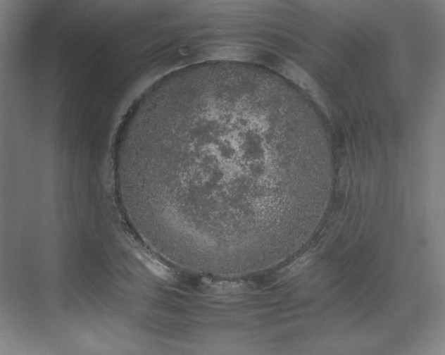 X0000074971027200609011210