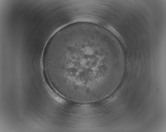 X0000074971028200609011210