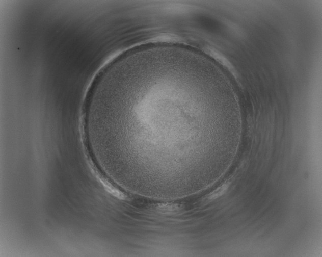 X0000074971029200609011210