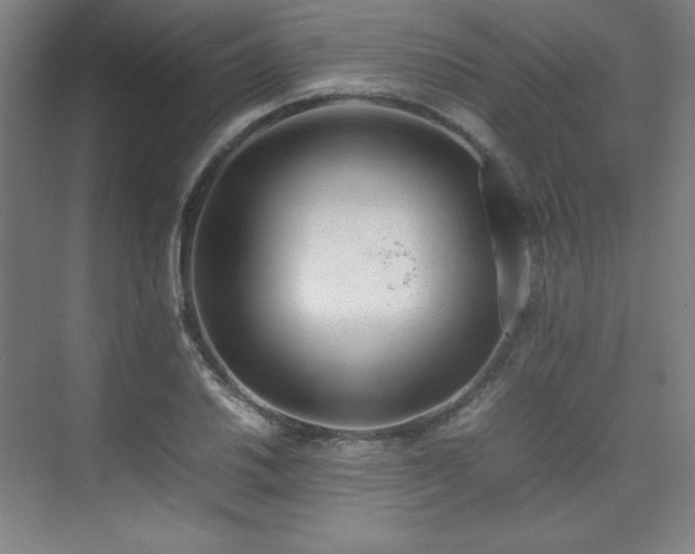 X0000074971030200609011210