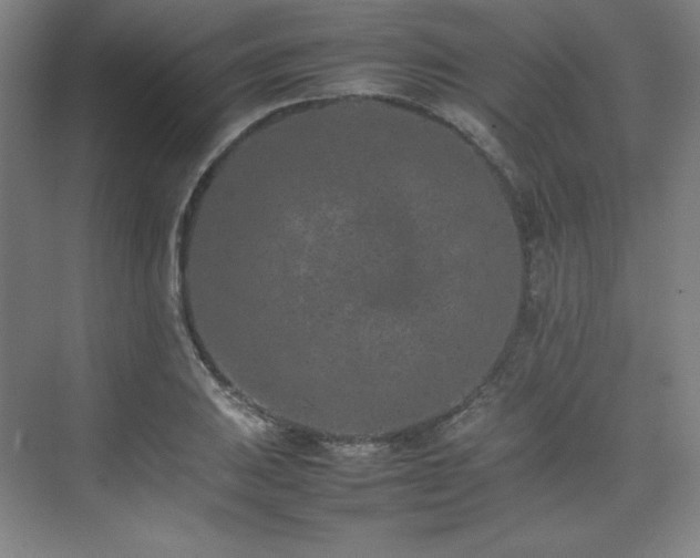 X0000074971031200609011210