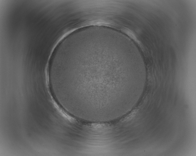 X0000074971032200609011210