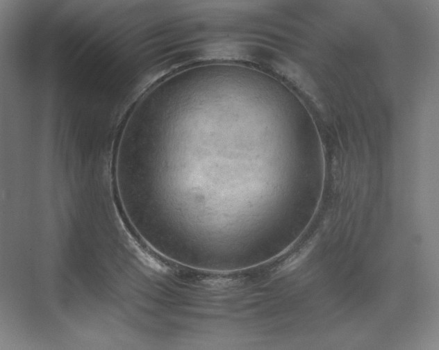 X0000074971033200609011210