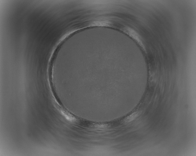 X0000074971035200609011210