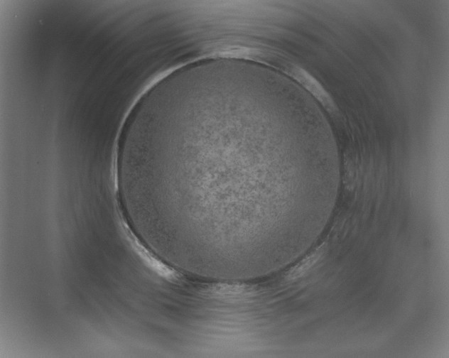 X0000074971036200609011210