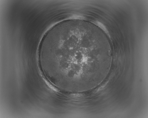 X0000074971037200609011210