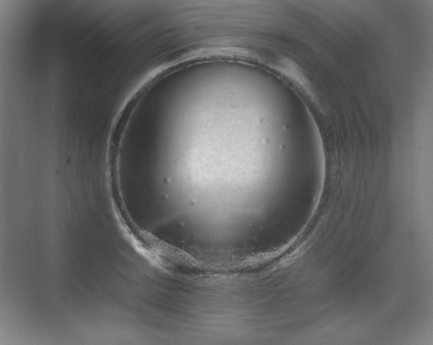 X0000074971038200609011210