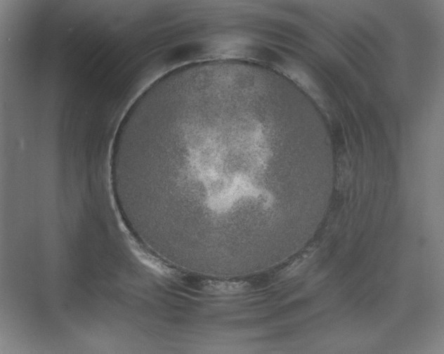 X0000074971039200609011210