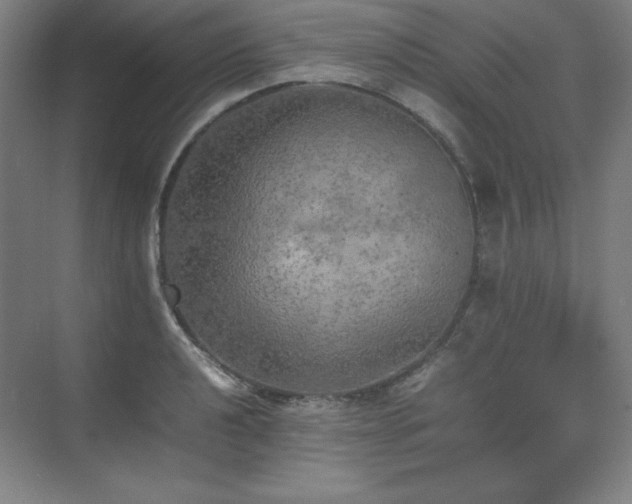 X0000074971040200609011210