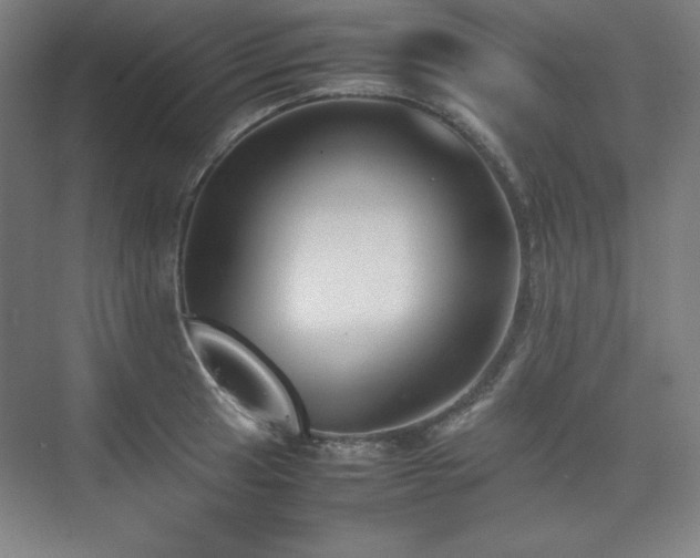 X0000074971041200609011210