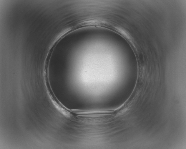 X0000074971042200609011210