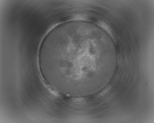 X0000074971043200609011211