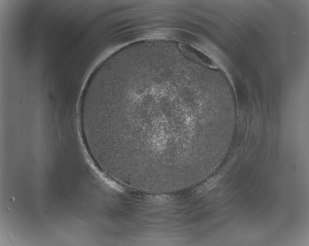 X0000074971045200609011211