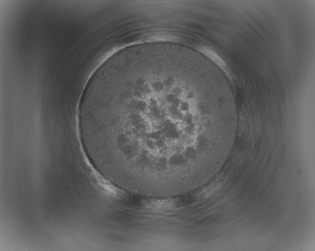 X0000074971047200609011211