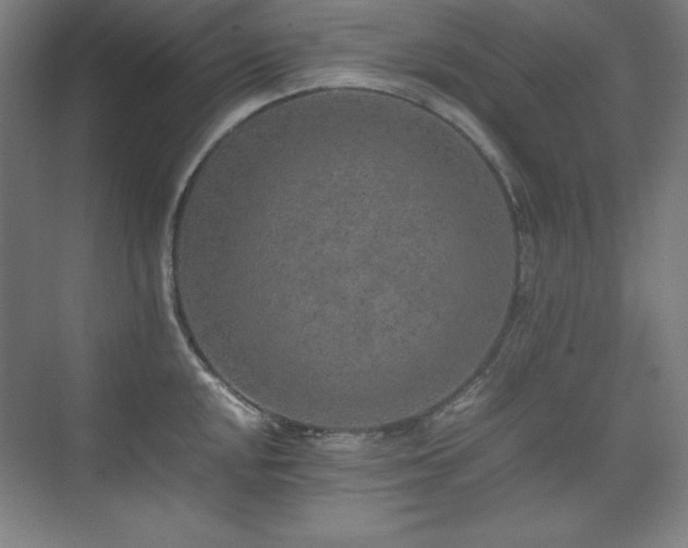 X0000074971048200609011211