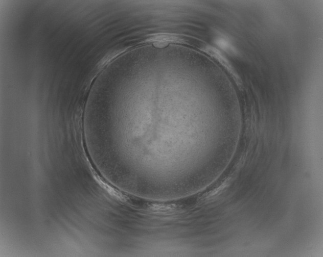 X0000074971049200609011211