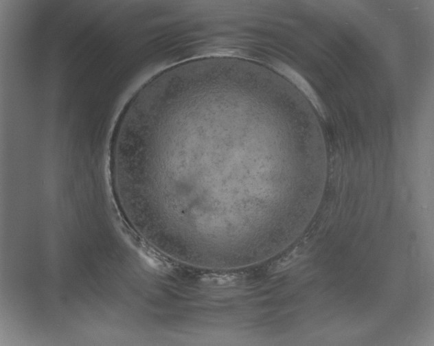 X0000074971051200609011211