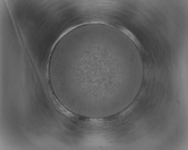 X0000074971052200609011211