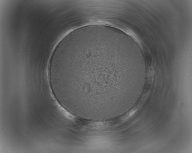 X0000074971054200609011211