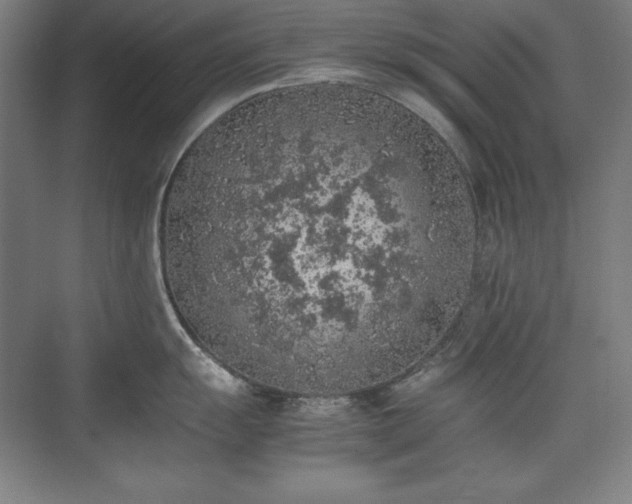 X0000074971055200609011211