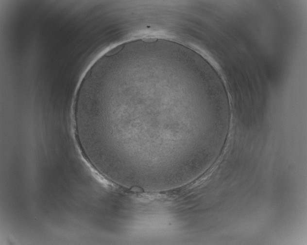 X0000074971056200609011211