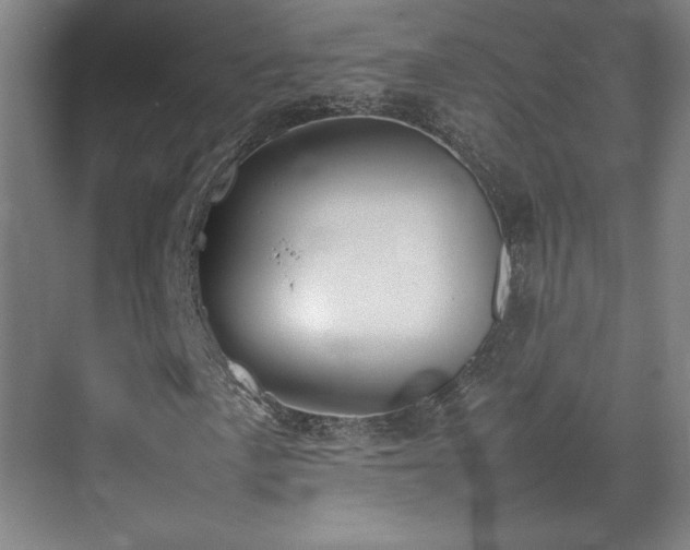 X0000074971057200609011210