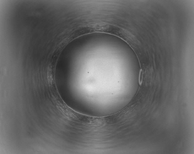 X0000074971058200609011210