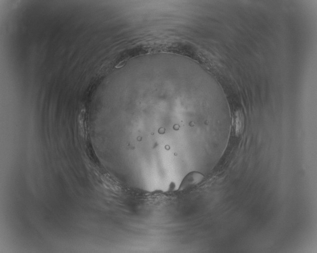 X0000074971059200609011210