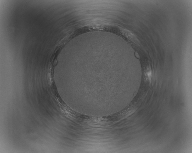 X0000074971060200609011210