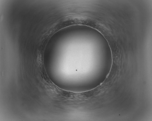 X0000074971061200609011210