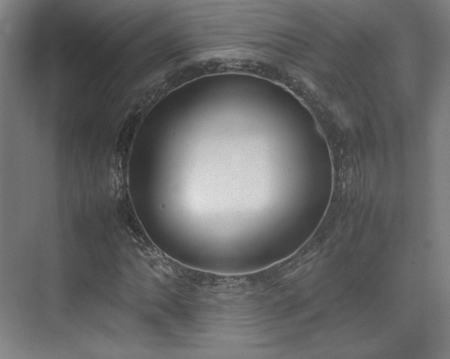 X0000074971062200609011210