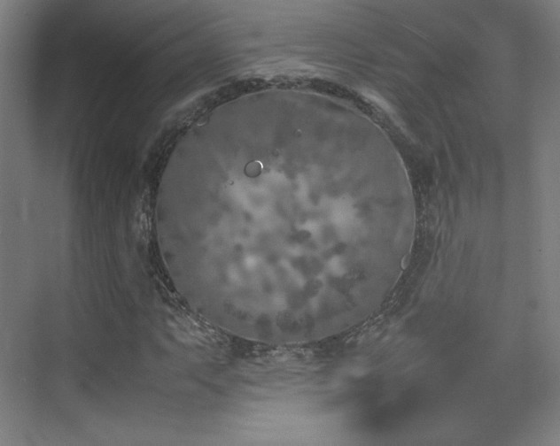 X0000074971063200609011210