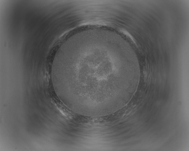 X0000074971064200609011210