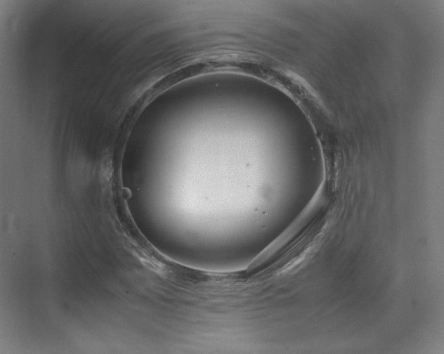 X0000074971065200609011210