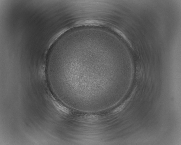 X0000074971066200609011210