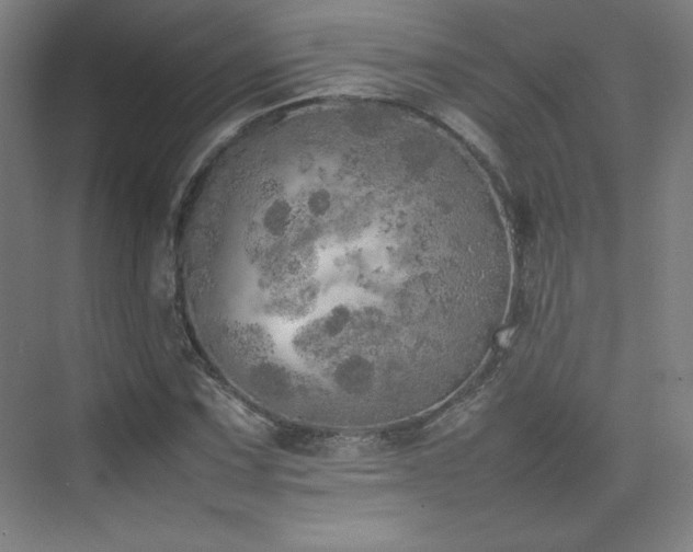 X0000074971067200609011210