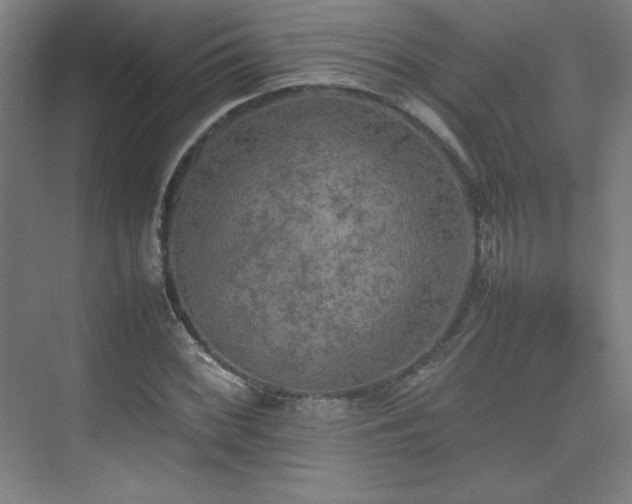 X0000074971068200609011210