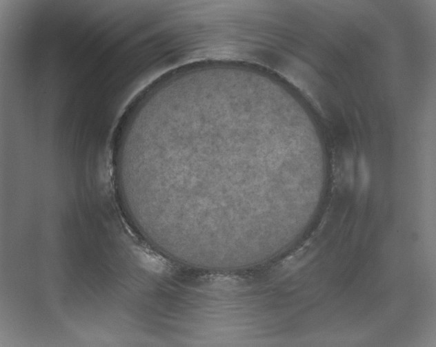 X0000074971070200609011210