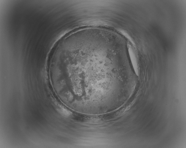 X0000074971071200609011210